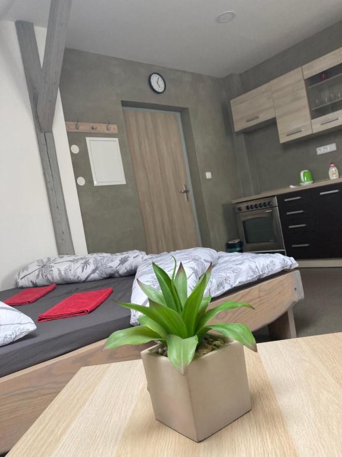 Apartmany V Raji Zdar  Ngoại thất bức ảnh